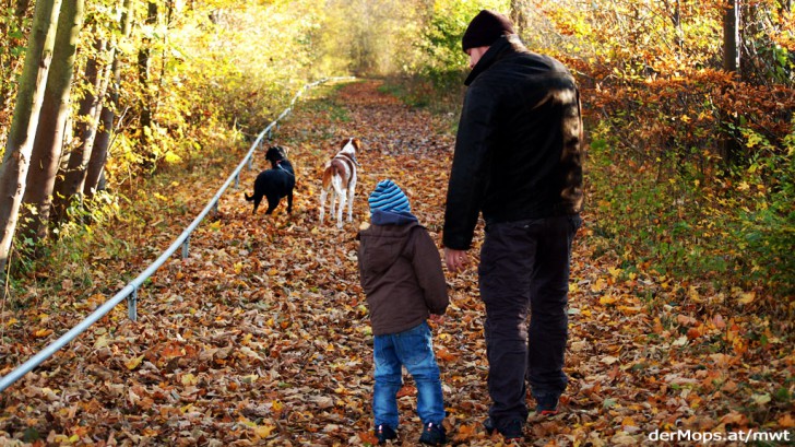 Wie Hund und Hundehalter gemeinsam noch glücklicher werden