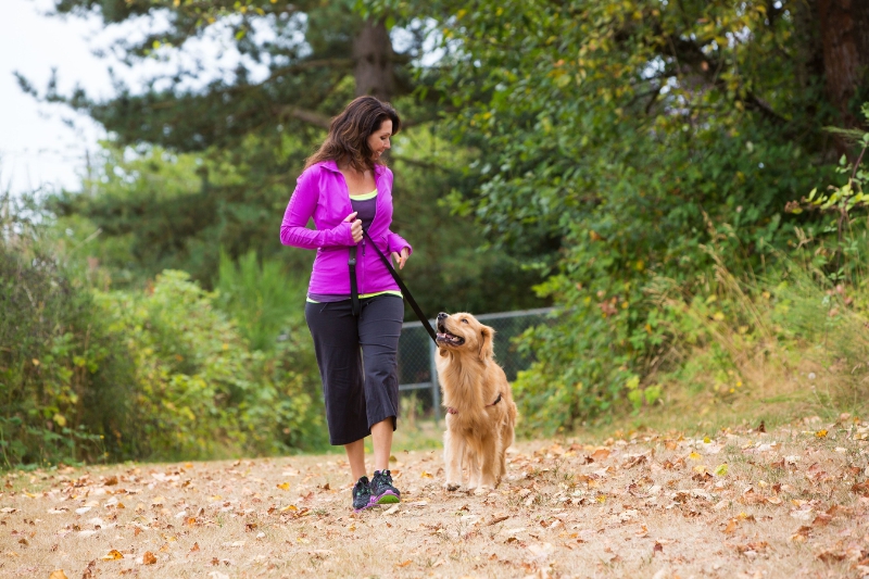 Gassi gehen gut für Hundehalter Gesundheit & Sicherheitsgefühl in der Nachbarschaft