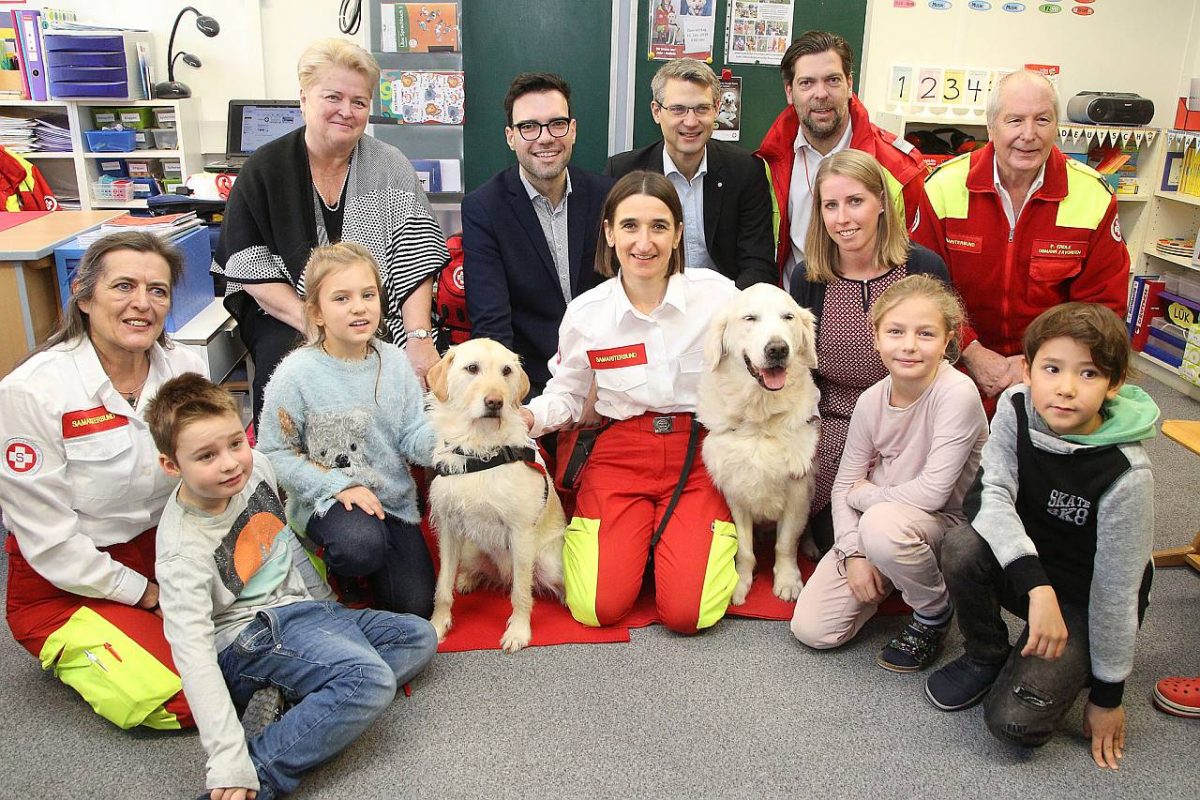 Begleithunde Hunde Volksschule Kindergarten