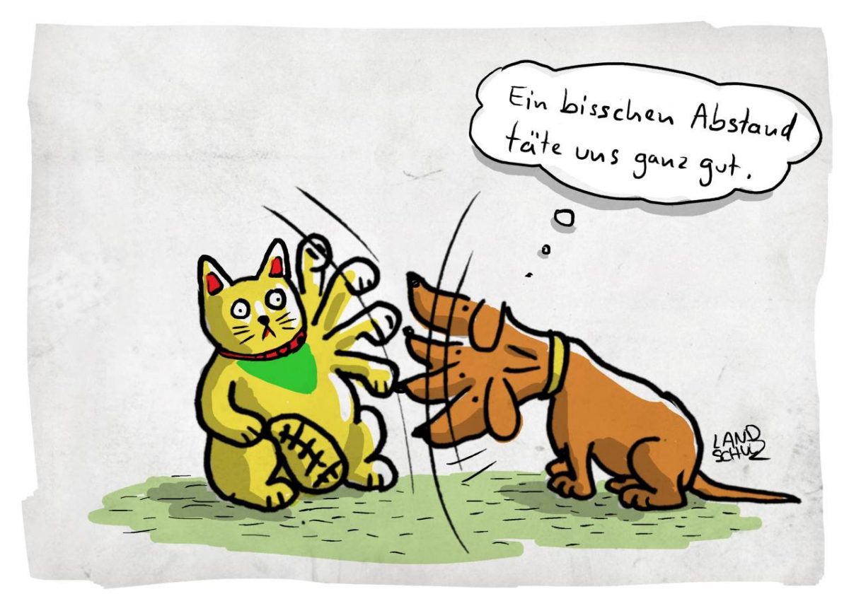 Cartoon Ausstellung Katz und Hund